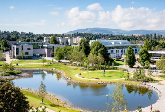 UCD 2017
