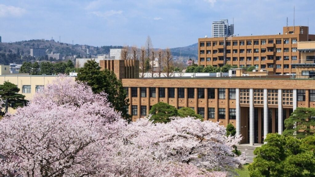Tohoku University 3