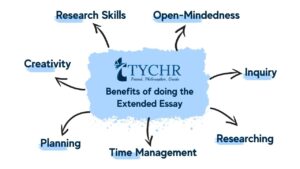 ibdp extended essay