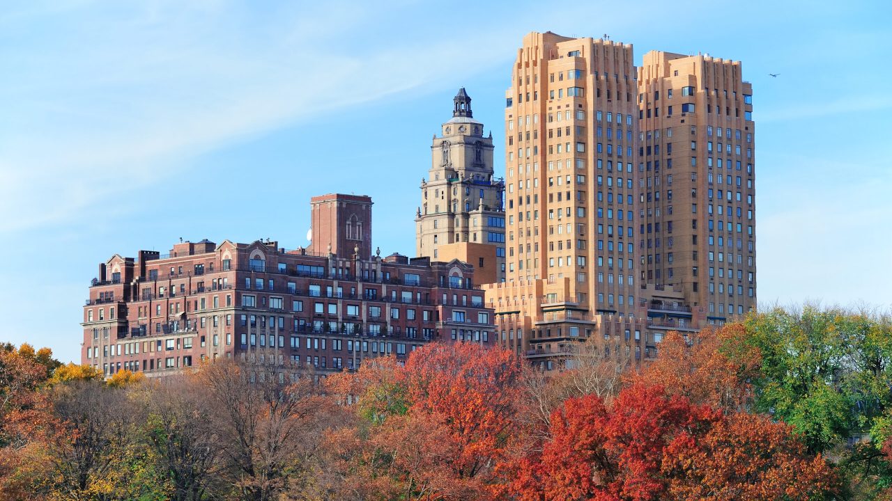 Boston University